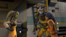 Hera expulsa a Zeb y Ezra