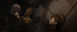 WinduSkywalkerEndurance.png