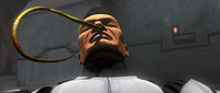 Snorting worms.jpg