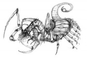 180px-CatachanDevil.jpg