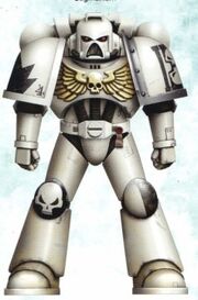 Marine Fantasmas Estelares.jpg