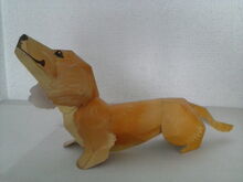 Perro