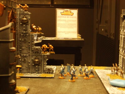 DSCF0713.jpg