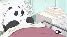 Panda en el hospital