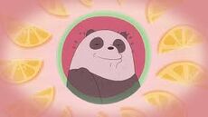 Panda cantando