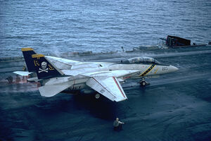 VF84 jollyrogers.jpg