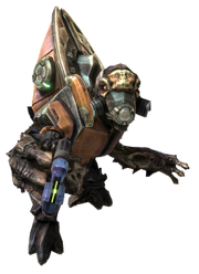 225px-Unggoy.png
