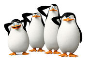 473352.jpg