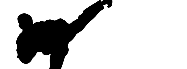 Archivo:Taekwondowiki.png