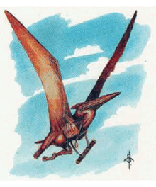 Saurflye