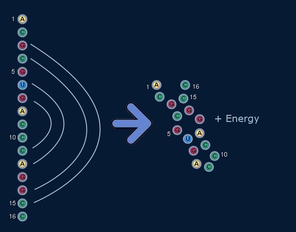 File:FreeEnergy.jpg