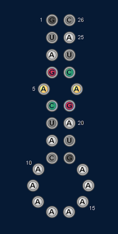 File:Internal Loop Ex.png