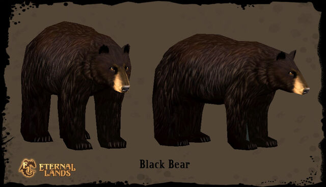 File:Creature Black Bear.jpg