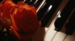 Nocturne - Piano and Rose