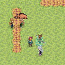 Ookami w boar