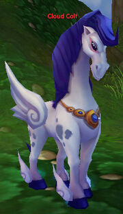Cloud colt