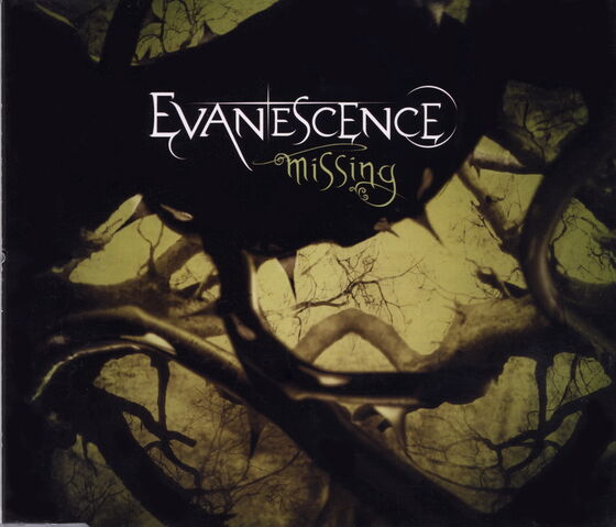 File:Missing.jpg