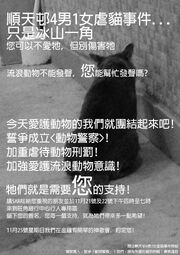 Cat abuse petition.jpg