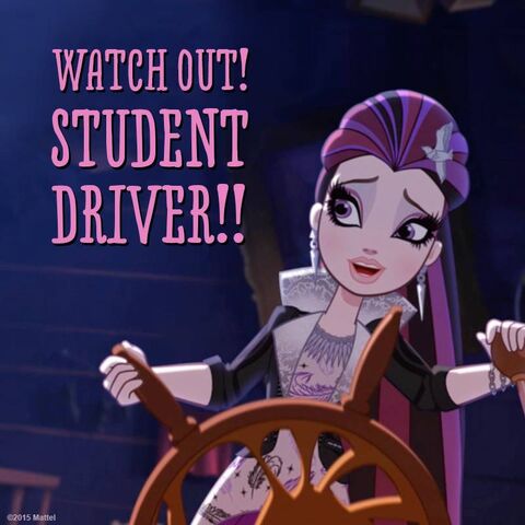 File:Facebook - student driver.jpg