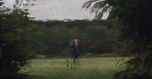 File:Screenshot 50.png
