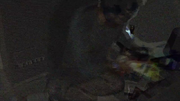 Vlcsnap-2015-09-03-22h02m27s80