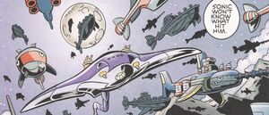 The Egg Fleet