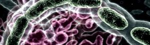 The Ancient Virus