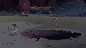 The Boomerang Pit