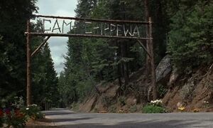 The Camp Chippewa