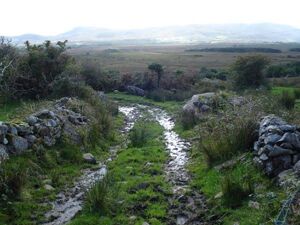 The Féar Gortach