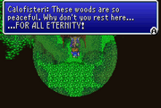 Calofisteri 1 FFV