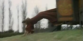 117
