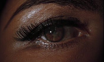 Goldfinger-044