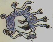 Medusa CV