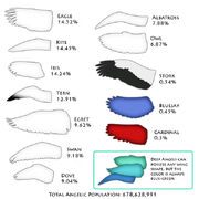 Wingchart