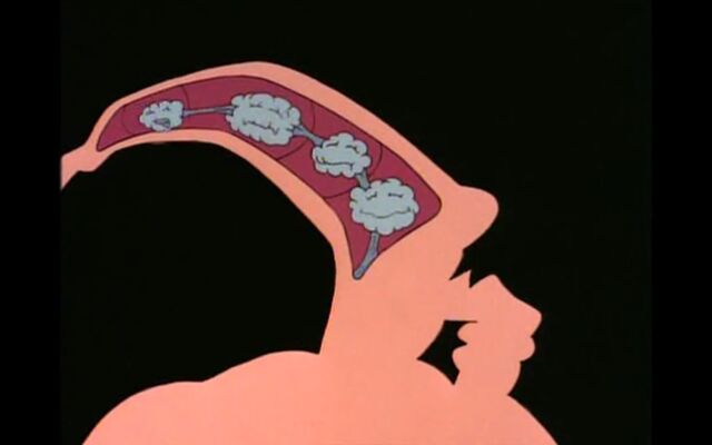 File:Four-brains.jpg