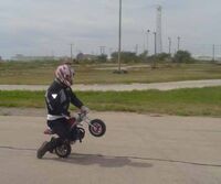 Shamook-bike