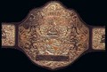PWC World Heavyweight Championship