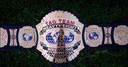 SFW tagbelts