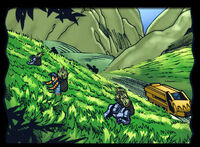 The Fields