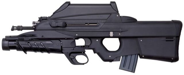 File:Fn f2000 3.jpg