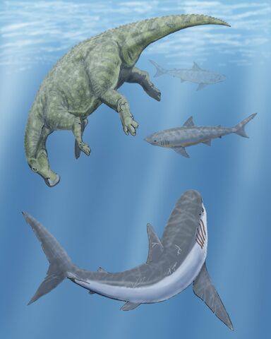 File:Kansas sea2DB.jpg