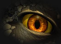 Thumbnail for version as of 14:11, August 21, 2010