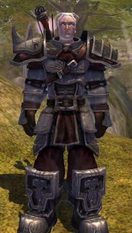 File:Platemail Suit.jpg