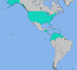 RedStarWhiteStarTurn13CFTUMap