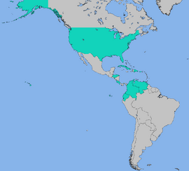 RedStarWhiteStarTurn4CFTUMap