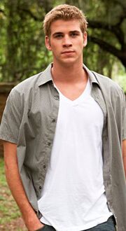 Liam-hemsworth-bio-pic120607170153.jpg