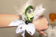 3609904-ein-junges-madchen-die-hand-mit-einer-schonen-corsage-vor-dem-abschlussball