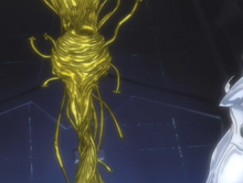 Nido.png
