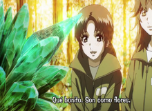 Nucleo Bosque2.png